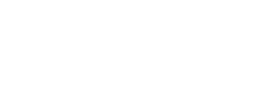 Visa logo all white